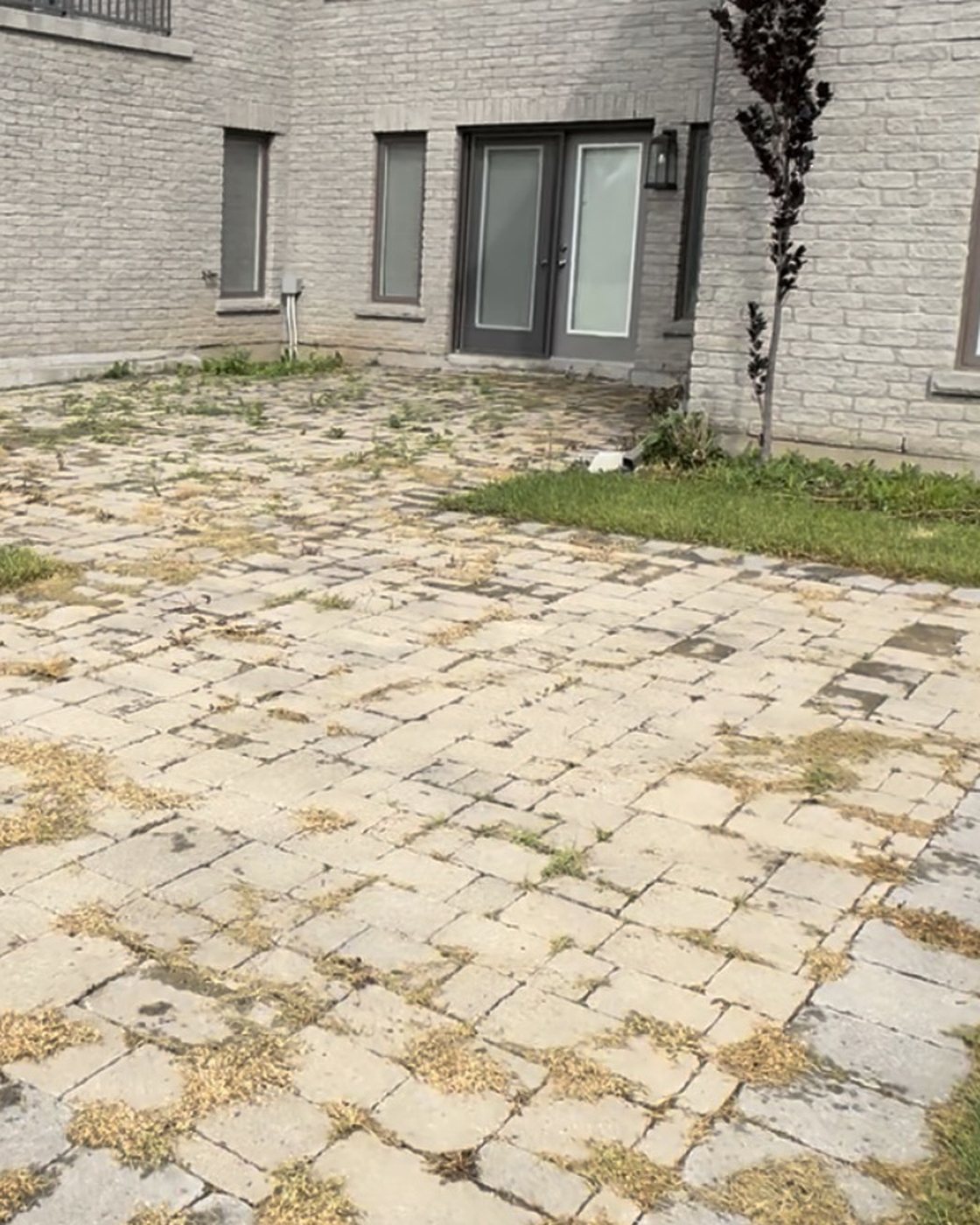 A patio before restoration, with weeds and grass growing through the joints